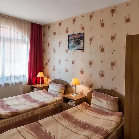 Hotel Bor